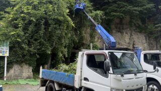 塩釜市K様邸の植栽伐採工事完了